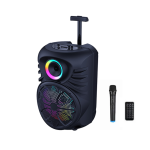 Finnteck 12" Portable Loudspeaker