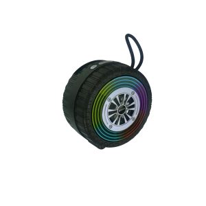 iStar Portable Wireless Speaker IS-2017U